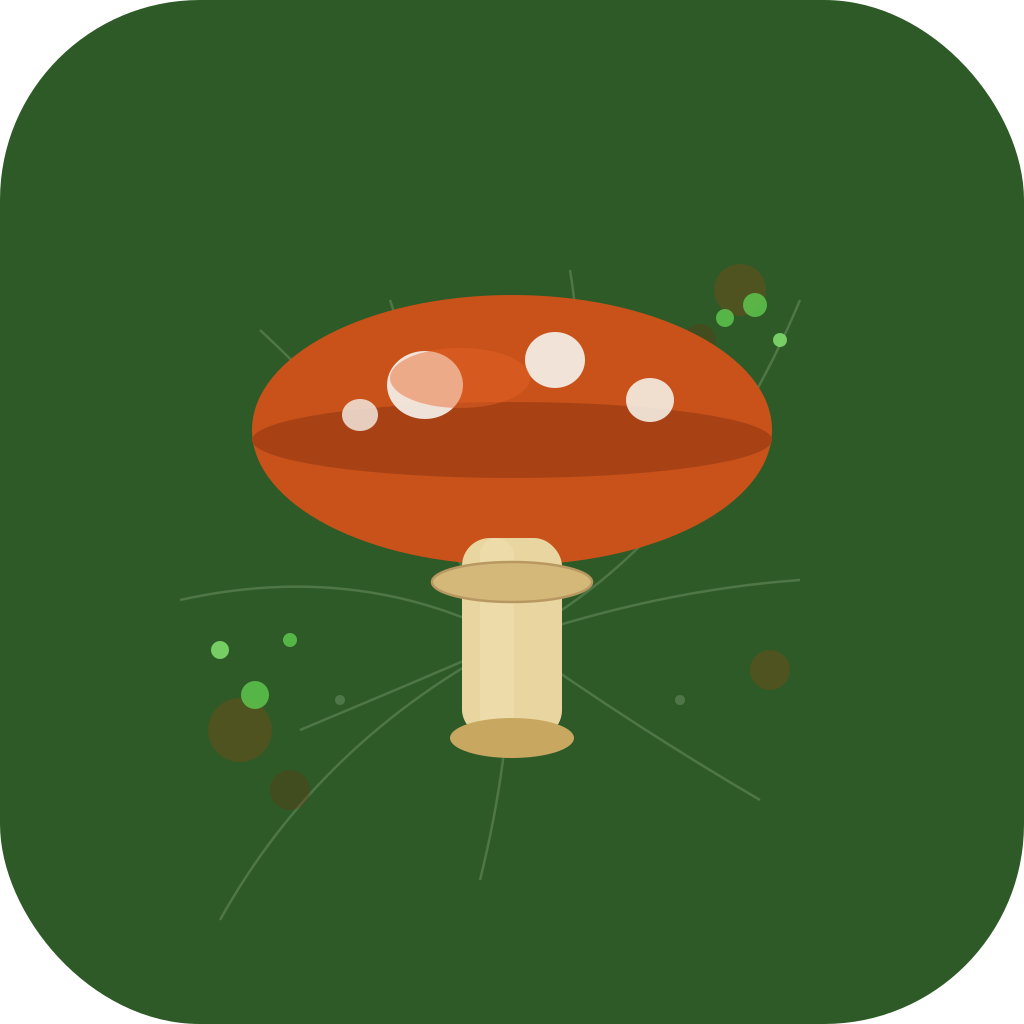 Fungus Cleanup icon